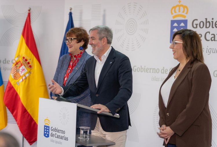 Canarias lanza la app de familias numerosas para agilizar trámites y facilitar el acceso a descuentos