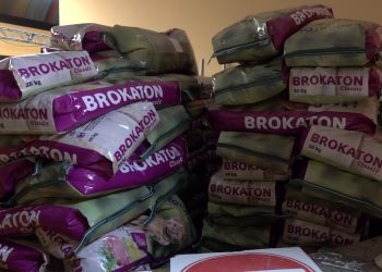 Entregados 2.000 kilos de pienso para reforzar el cuidado de las colonias felinas del municipio