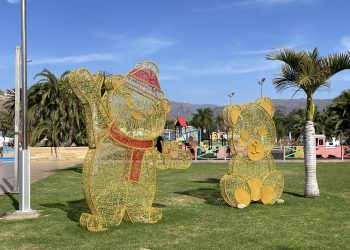 SBT ya engalana el municipio de Navidad