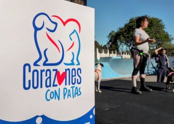 Unas 2.000 personas participan en el primer encuentro por el bienestar animal en Telde ‘Corazones con patas’