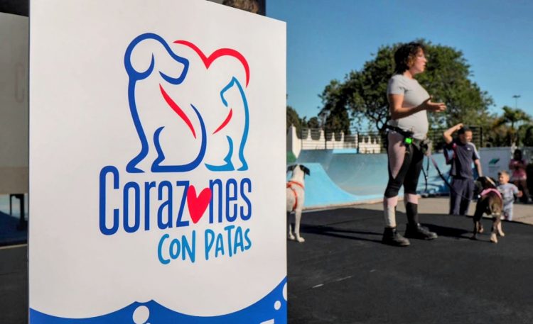 Unas 2.000 personas participan en el primer encuentro por el bienestar animal en Telde ‘Corazones con patas’