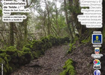 Telde acoge la exposición fotográfica Campus Laurus dentro del programa Noviembre Forestal 2025