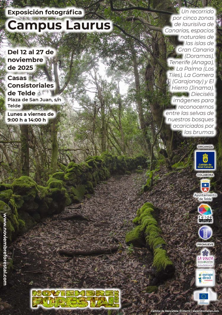 Telde acoge la exposición fotográfica Campus Laurus dentro del programa Noviembre Forestal 2025