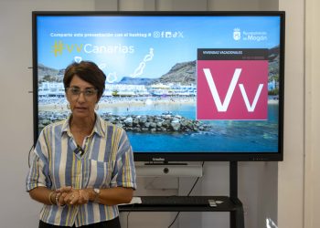 Vacío normativo de la Ley de Vivienda Vacacional: Un jubilado puede dar de alta una VV en Mogán pero no en Adeje