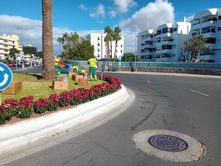 La Navidad ya asoma sus colores en San Bartolomé de Tirajana