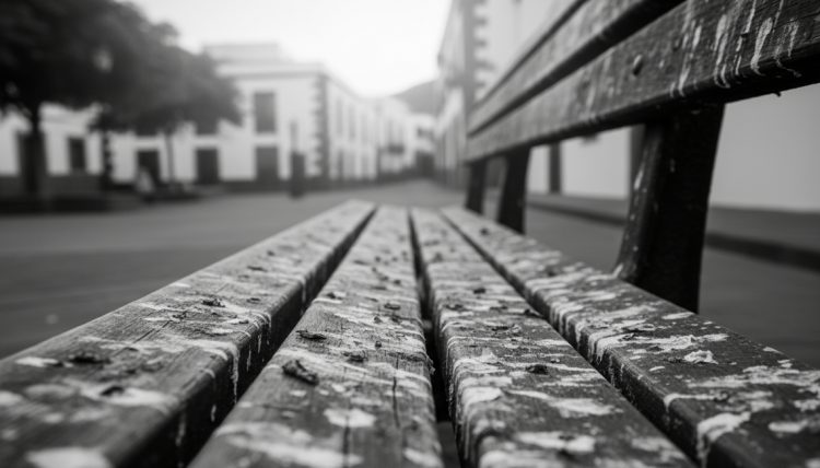 SBT sensibiliza para controlar las plagas de palomas urbanas