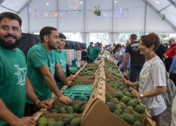 Diez años de sabor de Mogán: el aguacate seduce en su feria de invierno