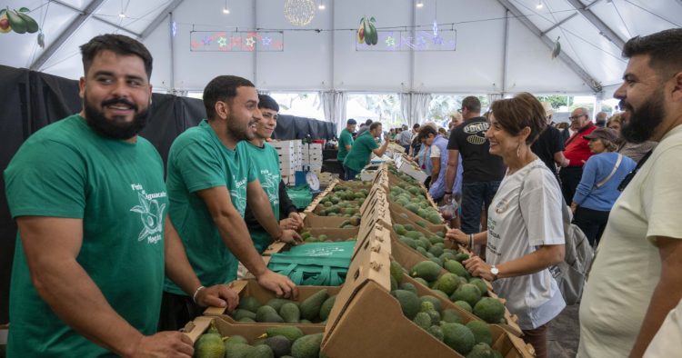 Diez años de sabor de Mogán: el aguacate seduce en su feria de invierno