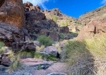 Agüimes abre las inscripciones para las actividades de enero del programa Invierno Joven 2026 