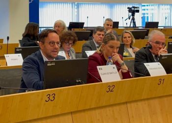 Canarias exige en Bruselas un papel clave en la nueva geopolítica europea con África Occidental