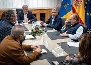 El Gobierno canario asume con fondos propios 11,2 M € del POSEI adicional de 2024 que adeuda el Estado a 7.803 productores