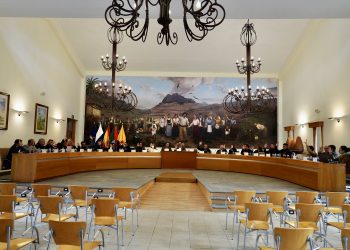 El pleno de Santa Lucía de Tirajana aprueba el Reglamento de Participación Ciudadana