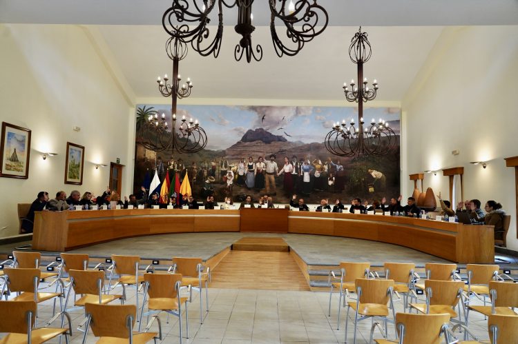 El pleno de Santa Lucía de Tirajana aprueba el Reglamento de Participación Ciudadana