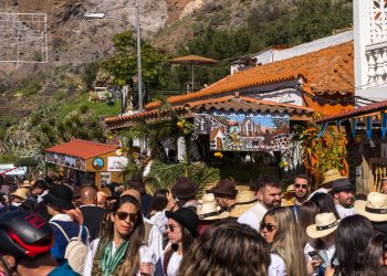 Mejunje, aceitunas y parrandas animan la celebración de la Romería de los Labradores que despide las fiestas de Santa Lucía