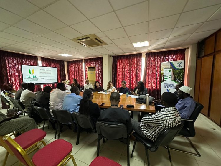 Canarias abre una nueva edición de Tierra Firme con la formación de 110 jóvenes en tres países africanos