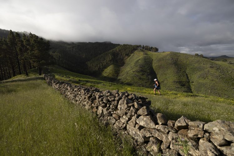 Entre Cortijos, la más rural de Canarias, abrirá inscripciones el próximo 4 de febrero
