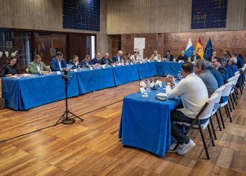 Ayuntamientos y cabildos se suman a enriquecer el Decreto Canario para fortalecer su defensa ante Madrid