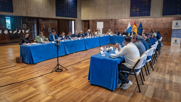 Ayuntamientos y cabildos se suman a enriquecer el Decreto Canario para fortalecer su defensa ante Madrid