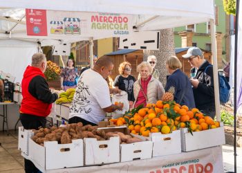 El Mercado Agrícola de Gáldar vuelve este domingo en la calle Fernando Guanarteme