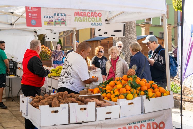 El Mercado Agrícola de Gáldar vuelve este domingo en la calle Fernando Guanarteme