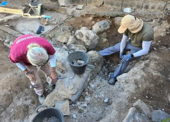 El Gobierno refuerza la investigación arqueológica de los ingenios azucareros de Telde