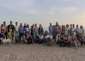 Mogán habilita cinco playas para mascotas