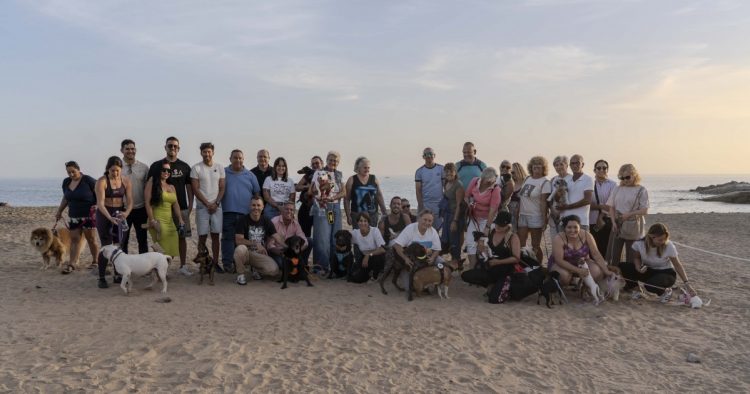 Mogán habilita cinco playas para mascotas
