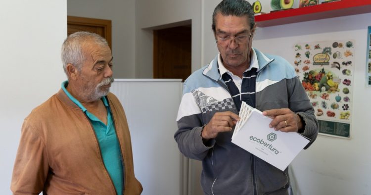 Mogán reparte 600 trampas entre 98 agricultores para proteger los cultivos de la polilla