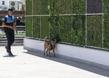 La Unidad Canina de la Policía Local de Mogán detiene a un hombre con drogas en Arguineguín