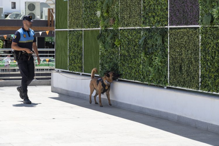 La Unidad Canina de la Policía Local de Mogán detiene a un hombre con drogas en Arguineguín