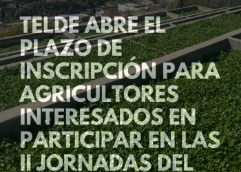 Sector Primario abre el plazo de inscripción para agricultores interesados en participar en las II Jornadas del Berro de Telde