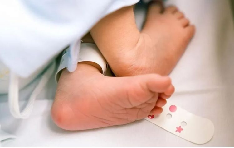 Sanidad realiza en 2025 más de 14.500 pruebas dentro del Programa de Cribado Neonatal de Enfermedades Congénitas en Prueba del Talón