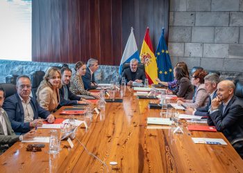Bienestar Social presenta el primer Diagnóstico y Análisis del estado de los Servicios Sociales en Canarias