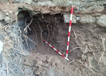 Hallazgo casual en Arucas