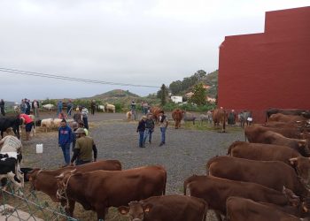 La Feria de Ganado de Montaña Alta se celebrará este sábado 28 de marzo