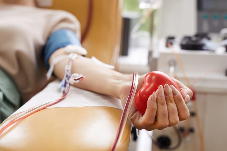Canarias registró 59.106 donaciones de sangre y aféresis en 2025 y mantiene la autosuficiencia del sistema de hemodonación