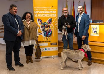 Más de setecientas mascotas participarán en la Exposición Canina Internacional en La Karpa de Vecindario