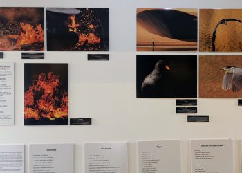 El Museo de Historia acoge hasta el 15 de mayo la exposición multidisciplinar ‘El Zurrón I’