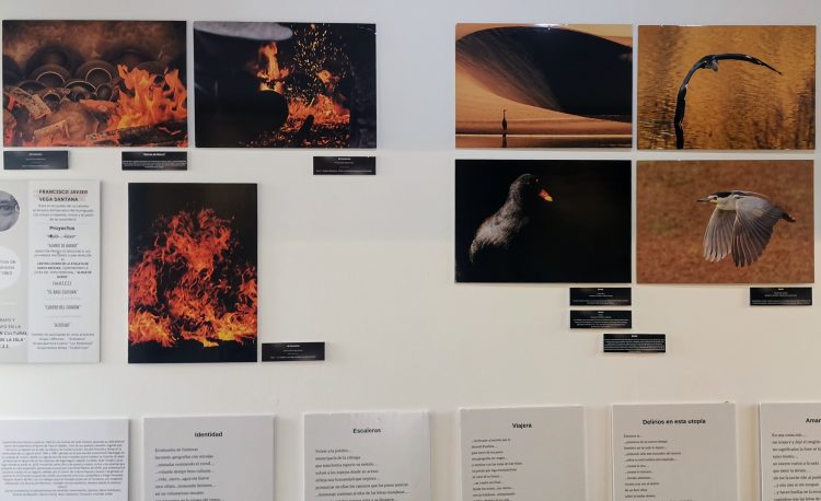 El Museo de Historia acoge hasta el 15 de mayo la exposición multidisciplinar ‘El Zurrón I’