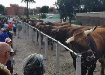 Tradición y cultura urbana protagonizan el cierre de las fiestas de San José Obrero  