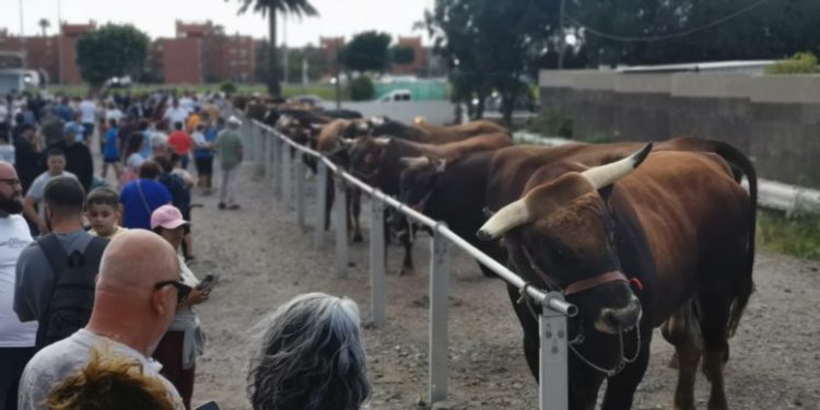 Tradición y cultura urbana protagonizan el cierre de las fiestas de San José Obrero  