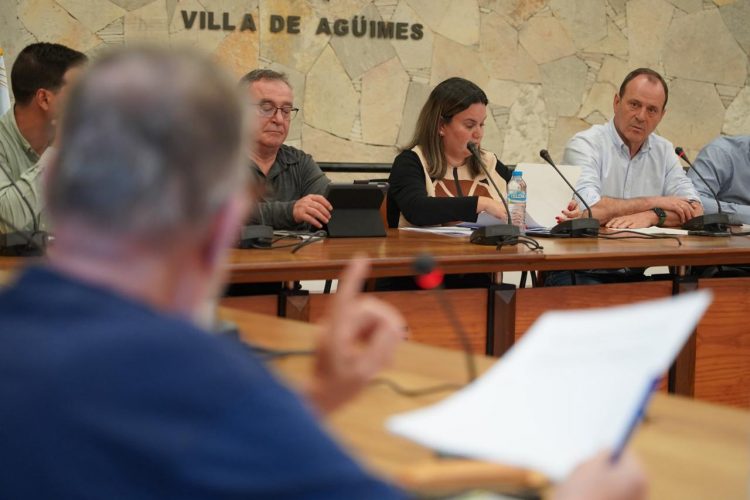 El Pleno de Agüimes aprueba la modificación del PGO para flexibilizar usos comerciales en suelo urbano  