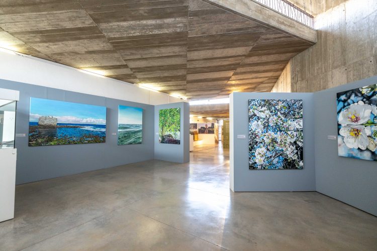 Carolina Mejías expone en el Museo La Fortaleza ‘Naturaleza de Gran Canaria’