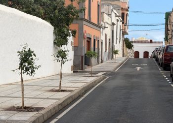 Parques y Jardines recupera los históricos naranjos del casco de San Juan