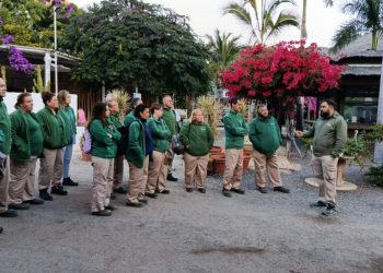 El equipo de ‘Emplea Verde SBT’ mejora el paisaje en 6 hectáreas