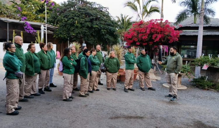 El equipo de ‘Emplea Verde SBT’ mejora el paisaje en 6 hectáreas