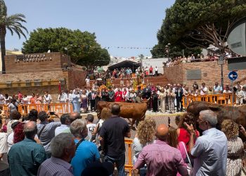 Ingenio celebra el día grande de las fiestas de San Pedro y San Pablo