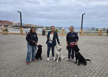 Telde consolida el primer PFAE de adiestramiento canino de Europa, una iniciativa pionera con impacto laboral y social 