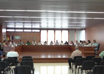 El Pleno de Ingenio sigue impulsando el futuro centro sociosanitario de El Mondragón