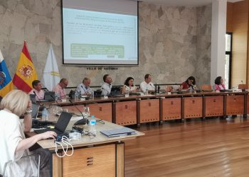La Fecam aborda en Agüimes los programas de empleo y las alegaciones a la Ley del Suelo